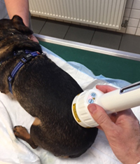 Lasertherapie der Wirbelsäule, Laserbehandlung, Rückenschmerzen