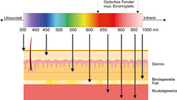 LightStream Lasertherapie Kl. 4, Eindringtiefe der Laserstrahlen